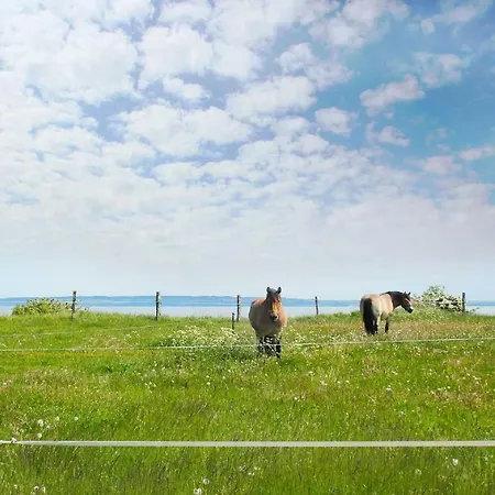 Ferienwohnung Am Wald - Ferienwohnung Nummer 04 Klein Gelm